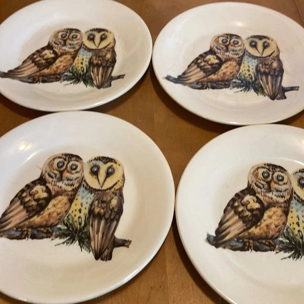 Vintage style owl salad plates and mugs